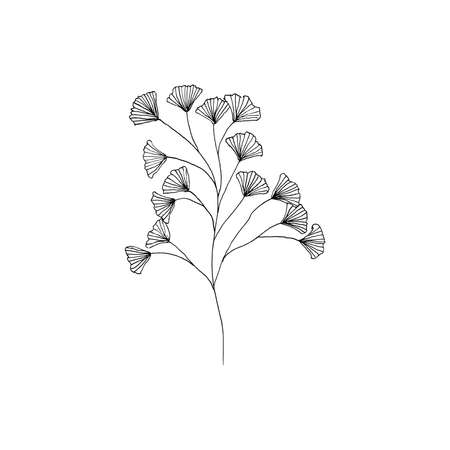 Simple and clean hand drawn floral. Sketch style botanical illustration. Great for invitation, greeting card, packages, wrapping, etc.のイラスト素材