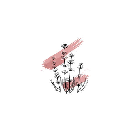 Simple and clean hand drawn floral. Sketch style botanical illustration. Great for invitation, greeting card, packages, wrapping, etc.のイラスト素材