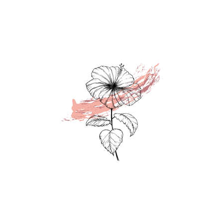 Simple and clean hand drawn floral. Sketch style botanical illustration. Great for invitation, greeting card, packages, wrapping, etc.のイラスト素材