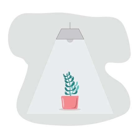 Simple potted plant vector.Great for invitation, greeting card, packages, wrapping, etc. Botanical illustration design.のイラスト素材