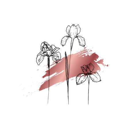 Simple floral drawing and sketch line art with rose gold brush stroke texture on background. Outline style vector illustration design for decoration or digital printing.のイラスト素材