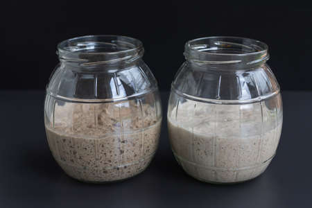 natural organic sourdough starters: freshly fermented bubbly rye and wheat starters in glass jars ready to use to make sourdough breadの写真素材