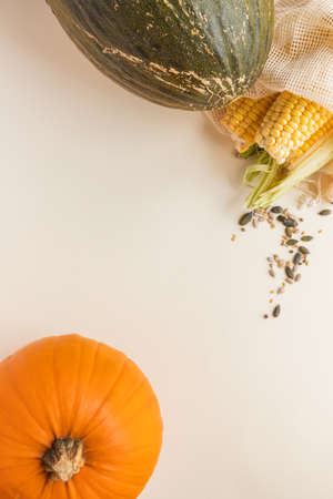autumn harvest background with copy space: organic pumpkin, corn, melon and seeds in reusable cotton net bags on a creamy backgroundの写真素材