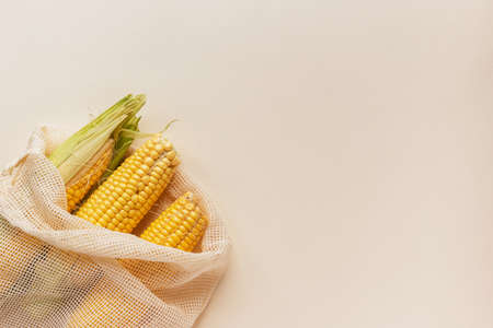 autumn harvest background with copy space: organic corn in reusable cotton net bags on yellow background with copy spaceの写真素材