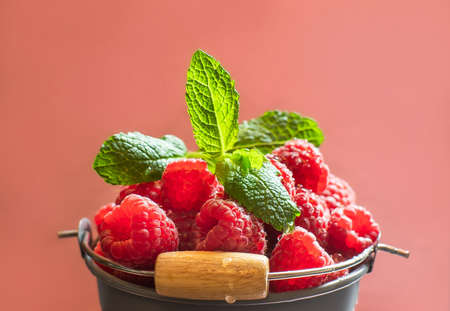 ripe raspberries in a grey bucket on pink background served as healthy seasonal dessertの写真素材
