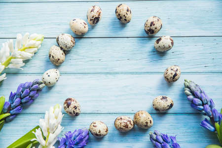easter quail eggs in a circle and spring- blooming hyacinths on a blue wooden backgroundの写真素材