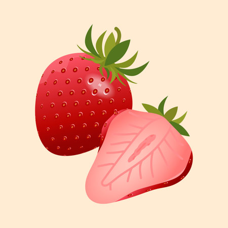 Strawberry. Vector illustration. Isolated on a white background.のイラスト素材