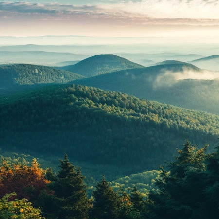 Sunny summer day in the mountains. High quality illustrationの写真素材