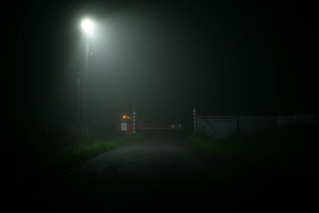 Foggy street in the light of a lantern. High quality photoの写真素材