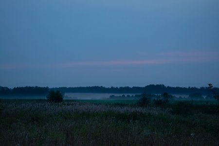 Foggy evening field. High quality photoの写真素材