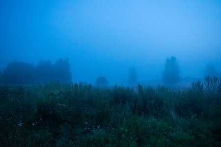 Foggy evening field. High quality photoの写真素材