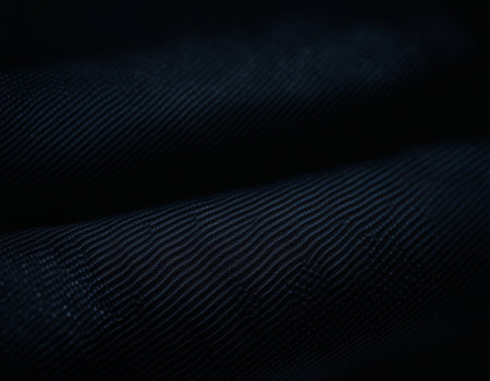 Professional designer background with expensive dark silk and fabric. Background for product presentations. High quality illustrationの素材