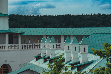 View of the rooftops and architectural details of a historic building with green roofs. The scene includes several chimneys, ornate railings, and a background of lush green forest under a cloudy sky.の写真素材