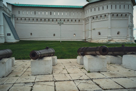 Rusty cannons on stone platforms in front of a historical fortress wall, highlighting military...