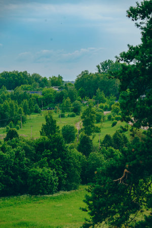 Scenic view of a lush green landscape featuring a variety of trees and distant houses. The sky adds a serene and peaceful ambiance to the natural setting.の写真素材
