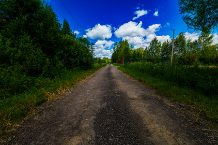 A rural dirt road meanders through a green forest under a vibrant blue sky with scattered white...
