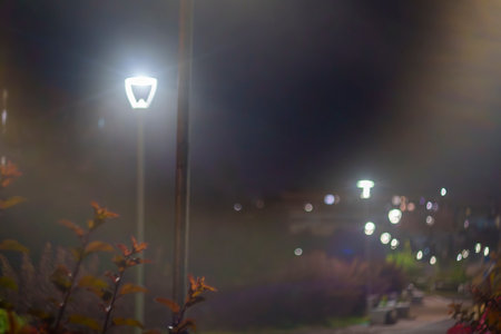 A serene night scene in a park with a single street lamp illuminating the foggy surroundings. Soft...