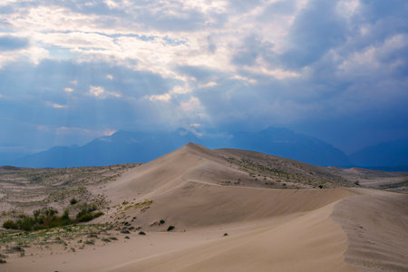 Sunlit desert dunes stretch under a dramatic cloudy sky, with light breaking through to highlight the rolling sand and sparse vegetation, creating a serene and expansive landscape.の写真素材