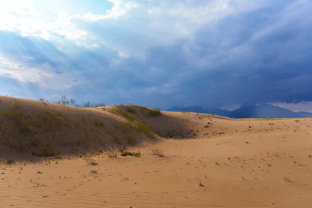 A vast expanse of sand dunes stretches under a dramatic, cloudy sky, creating a sense of solitude and the raw beauty of a desert landscape.の写真素材
