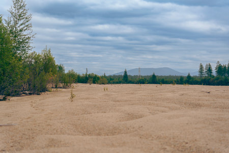 A vast expanse of sandy terrain in the wilderness, bordered by sparse trees under a cloudy sky, creating a sense of solitude and natural beauty.の写真素材