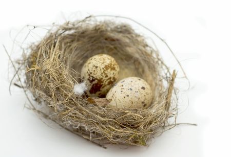 Nest in which two eggs of female quail on white backgroundの写真素材