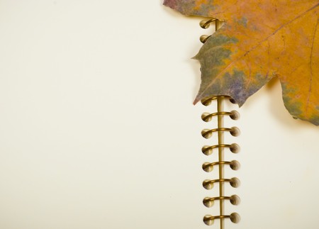 Empty page in notebook and  turned yellow autumn leaf