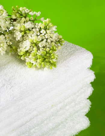 Towelの写真素材