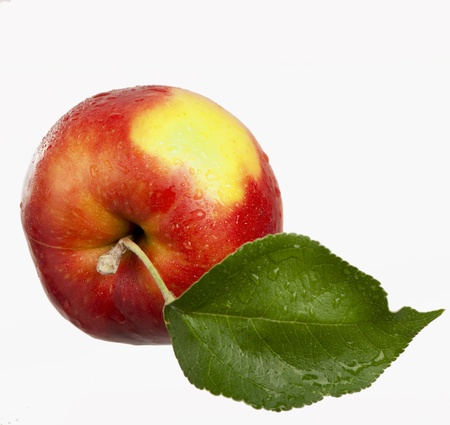 Red apple isolatedの写真素材