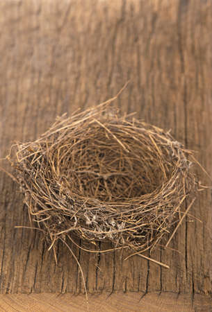 Nest on wooden boardsの写真素材