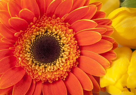 beautiful bouquet of colorful spring flowersの写真素材