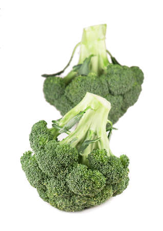 branches of cabbage of a broccoli on a white backgroundの写真素材