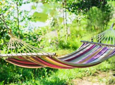 hammock in a gardenの写真素材