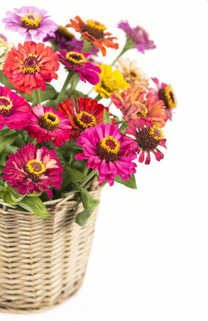 Bouquet from different brights in a basket on a white backgroundの写真素材