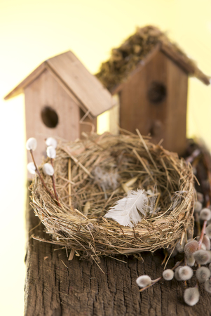 Birdhouse and bird's nest on the wooden backgroundの写真素材