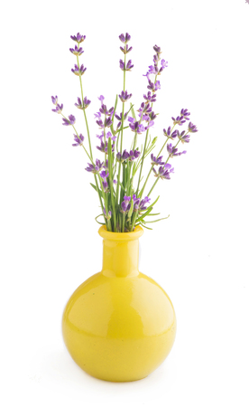 Bunch of Lavender flowers on a white backgroundの写真素材