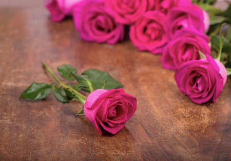 isolated pink roses flower on a wooden tableの写真素材