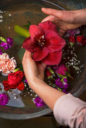 vintage, various flowers Various flowers on dark vintage background, top view, flat layの写真素材