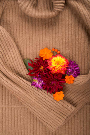 redhead woolen sweater and autumn flowers on white backgroundの写真素材