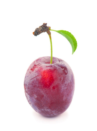 One ripe plum with green leaf isolated on white background.の写真素材