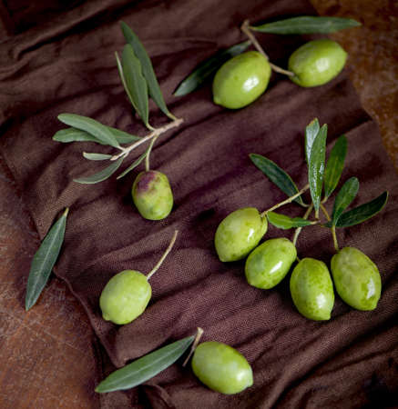 Olive oil and olive branch on the black background
