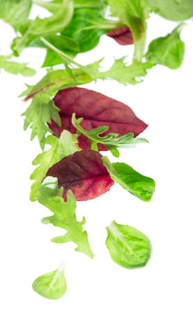 Salad leaf. Lettuce isolated on white backgroundの写真素材