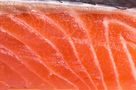 Steak of red fish on white backgroundの写真素材