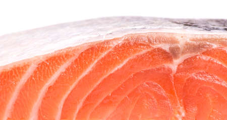 Steak of red fish on white backgroundの写真素材