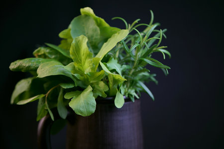 Fresh spicy herbs - mint, rosemary, dill, arugula and spinach in a black cup on a black background. top viewの写真素材