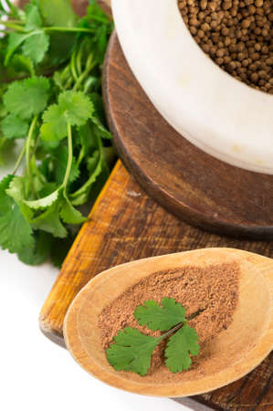 Coriander fresh greens cilantroisolated on the whiteの写真素材