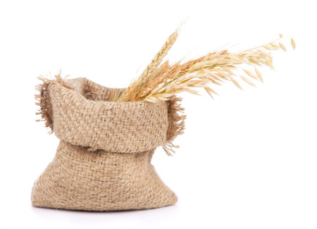 Bread rye spikelets on an old backgroundの写真素材