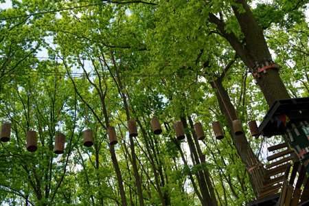 Adventure rock climbing in the park with high wires. High ropes course in the forest. Activity