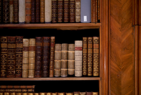 Vienna, Austria: Old bookcase with the leather-bound book covers in State Hall of Austrian National Libraryの写真素材