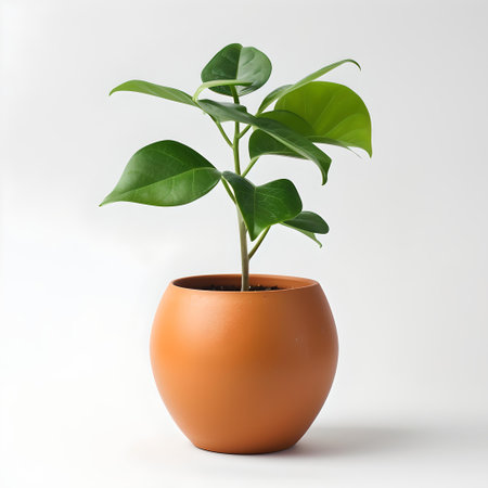 A vibrant green potted plant isolated on white, symbolizing growth and eco-friendliness. ideal for decor. A.I.の素材