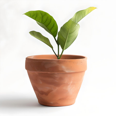 Green plant with vibrant leaves growing in a classic terracotta pot against a white backdrop. A.I.の素材